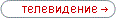 Телевидение